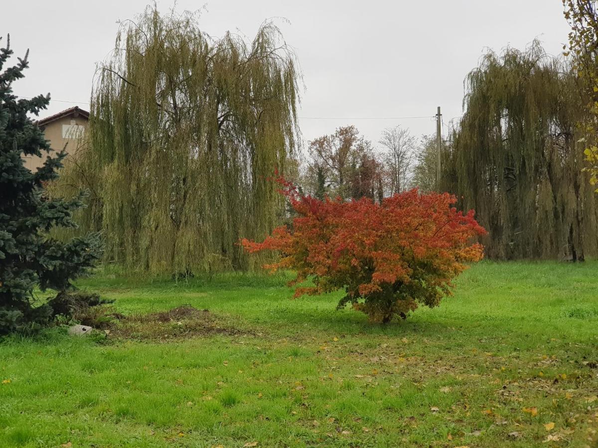 Az.Agr.Cascina Moretta Momo Exterior foto
