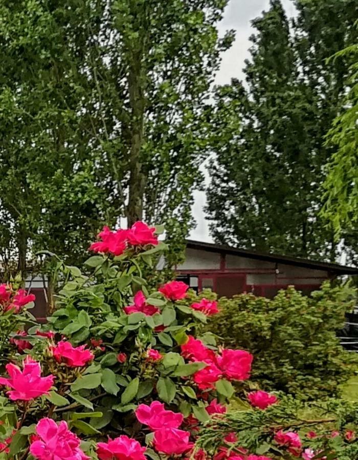 Az.Agr.Cascina Moretta Momo Exterior foto
