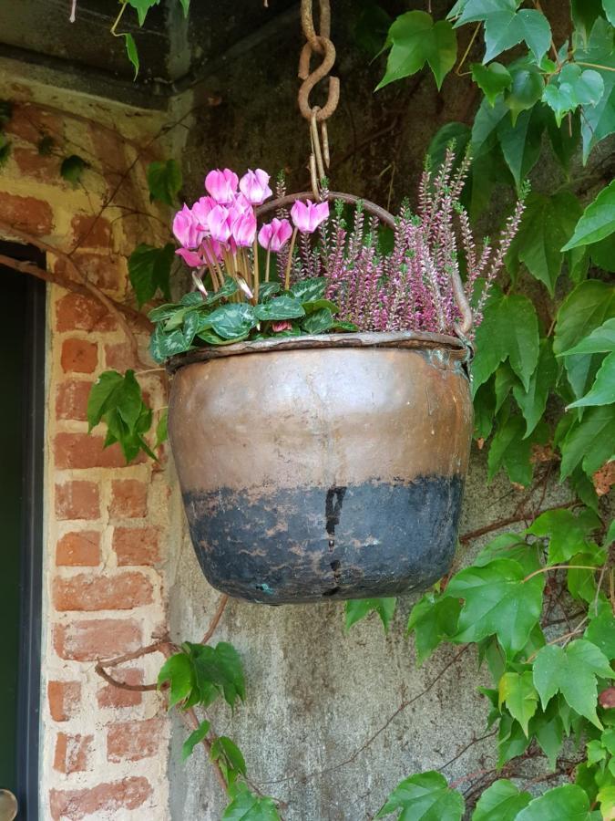 Az.Agr.Cascina Moretta Momo Exterior foto